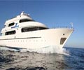tauchsafariboot-seven-seas