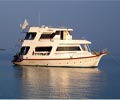 tauchsafariboot-sheena