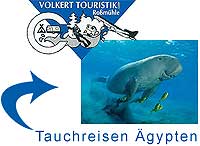 tauchreisen-ägypten